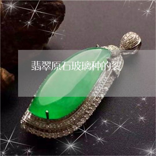 翡翠原石玻璃种的裂/2023041068079