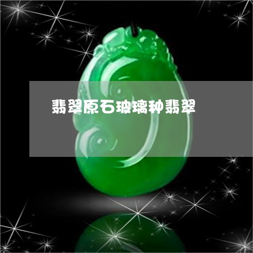 翡翠原石玻璃种翡翠/2023041003059 翡翠原石玻璃种翡翠/2023041003059