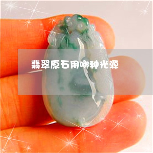 翡翠原石用哪种光源/2023041000279 翡翠原石用哪种光源/2023041000279