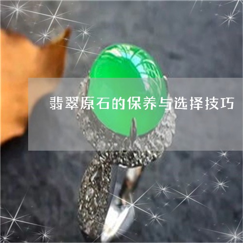 翡翠原石的保养与选择技巧/2023061922927 翡翠原石的保养与选择技巧/2023061922927