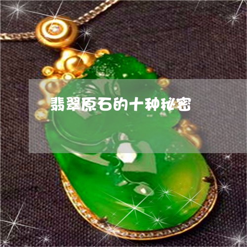 翡翠原石的十种秘密/2023041056157 翡翠原石的十种秘密/2023041056157