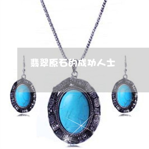 翡翠原石的成功人士/2023041073047 翡翠原石的成功人士/2023041073047