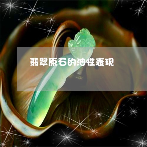 翡翠原石的油性表现/2023041061705