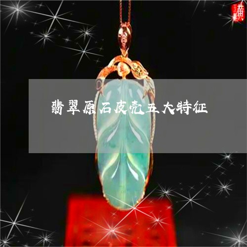 翡翠原石皮壳五大特征/2023020758383