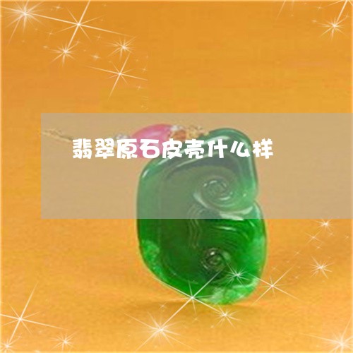翡翠原石皮壳什么样/2023041083845 翡翠原石皮壳什么样/2023041083845