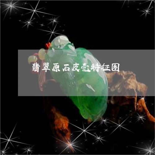 翡翠原石皮壳特征图/2023041054727 翡翠原石皮壳特征图/2023041054727