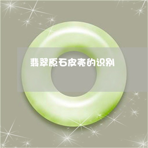 翡翠原石皮壳的识别/2023041056947 翡翠原石皮壳的识别/2023041056947