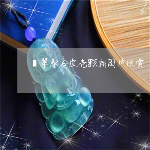 翡翠原石皮壳颗粒图片欣赏/2023071126160 翡翠原石皮壳颗粒图片欣赏/2023071126160