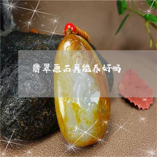 翡翠原石真能养好吗/2023041072736