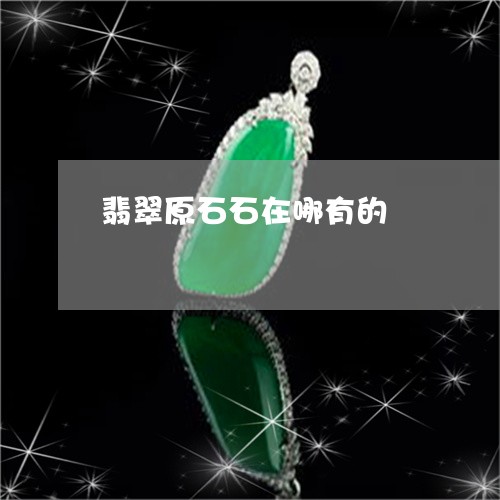 翡翠原石石在哪有的/2023041084148