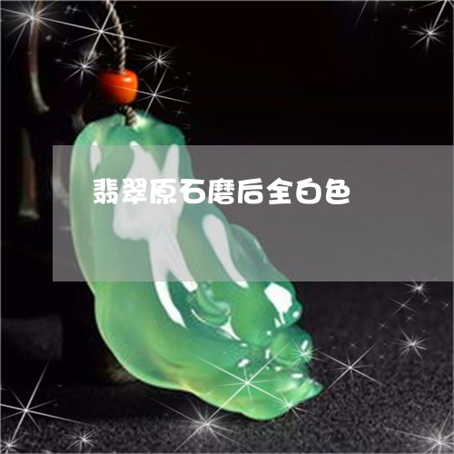翡翠原石磨后全白色/2023041000627
