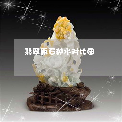 翡翠原石种水对比图/2023041070392 翡翠原石种水对比图/2023041070392