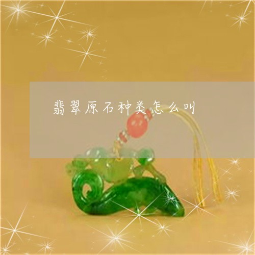 翡翠原石种类怎么叫/2023041095383 翡翠原石种类怎么叫/2023041095383