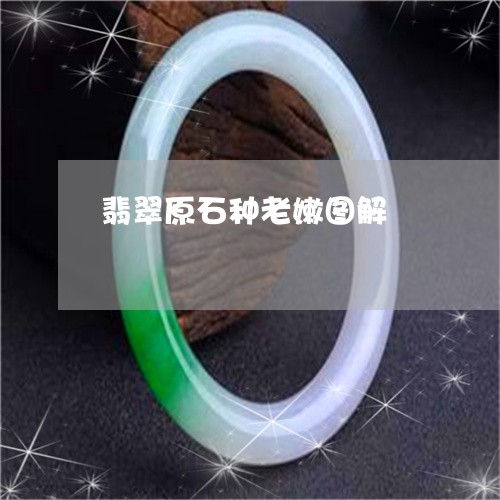 翡翠原石种老嫩图解/2023041011583 翡翠原石种老嫩图解/2023041011583
