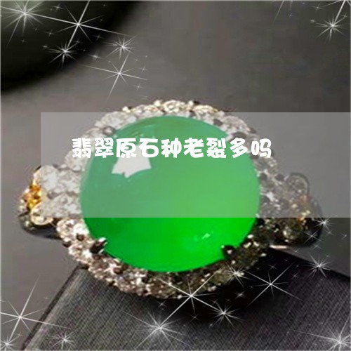 翡翠原石种老裂多吗/2023041081493 翡翠原石种老裂多吗/2023041081493
