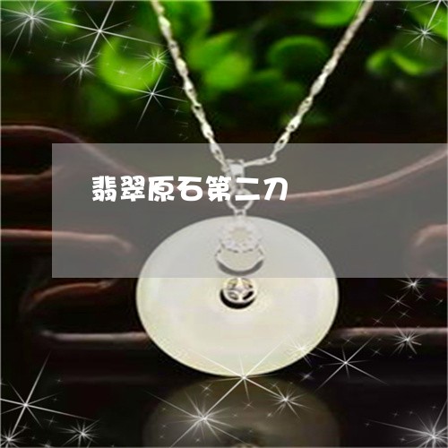 翡翠原石第二刀/2023032638160