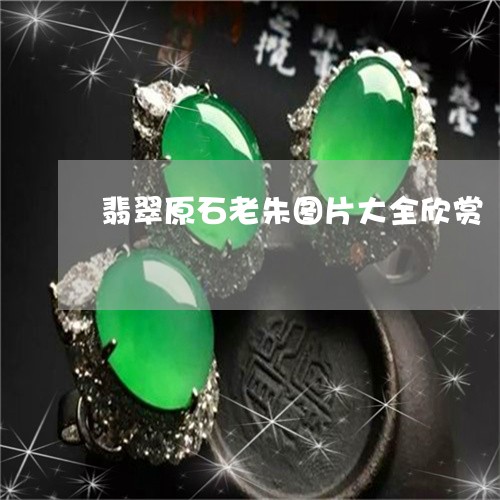 翡翠原石老朱图片大全欣赏/2023061953605