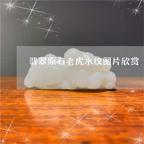 翡翠原石老虎水纹图片欣赏/2023061908370 翡翠原石老虎水纹图片欣赏/2023061908370