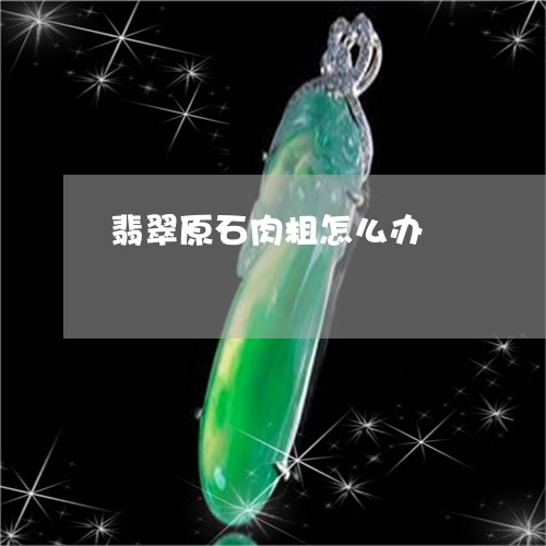 翡翠原石肉粗怎么办/2023041023068 翡翠原石肉粗怎么办/2023041023068