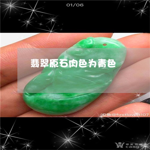翡翠原石肉色为青色/2023041002835 翡翠原石肉色为青色/2023041002835