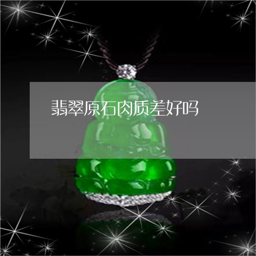 翡翠原石肉质差好吗/2023041083137
