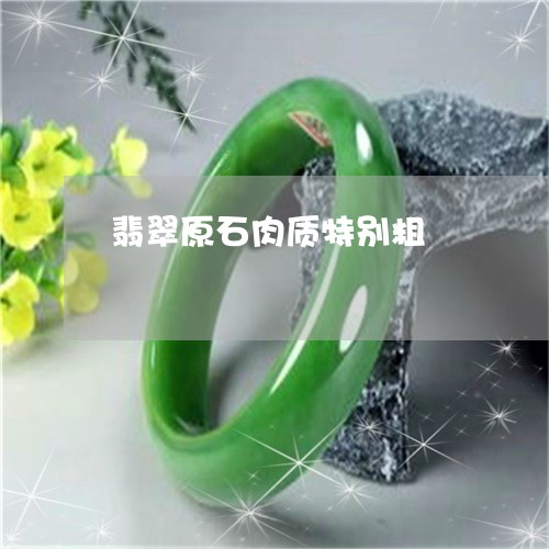 翡翠原石肉质特别粗/2023041077148