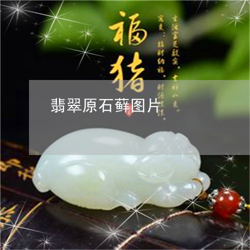 翡翠原石藓图片/2023032761814 翡翠原石藓图片/2023032761814