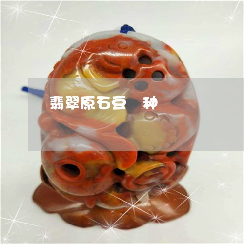 翡翠原石豆種种/2023032769491 翡翠原石豆種种/2023032769491