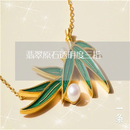 翡翠原石透明度三指/2023041002826 翡翠原石透明度三指/2023041002826