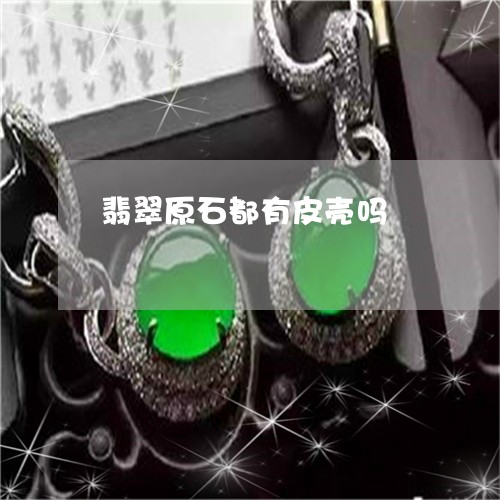 翡翠原石都有皮壳吗/2023041059180 翡翠原石都有皮壳吗/2023041059180