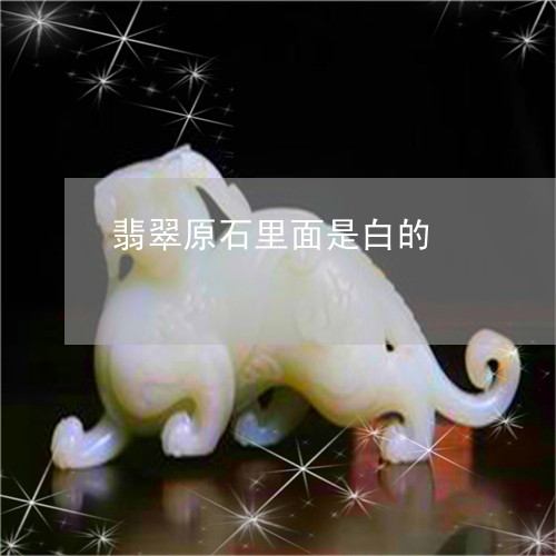 翡翠原石里面是白的/2023041084039 翡翠原石里面是白的/2023041084039