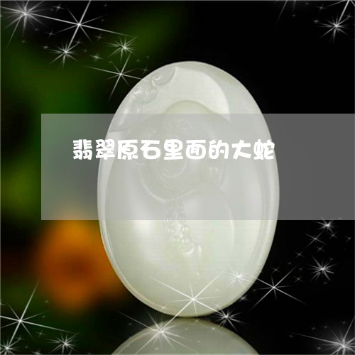 翡翠原石里面的大蛇/2023040973747 翡翠原石里面的大蛇/2023040973747