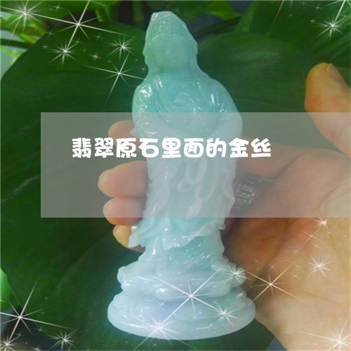 翡翠原石里面的金丝/2023040959525 翡翠原石里面的金丝/2023040959525