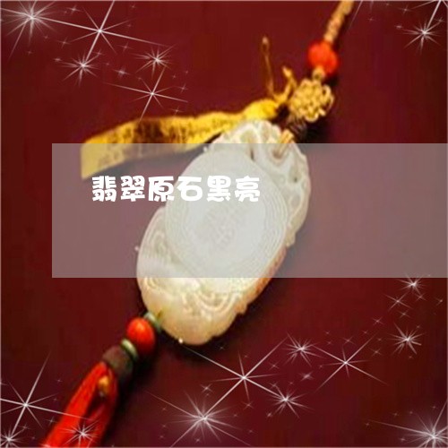 翡翠原石黑亮廯/2023032693693 翡翠原石黑亮廯/2023032693693