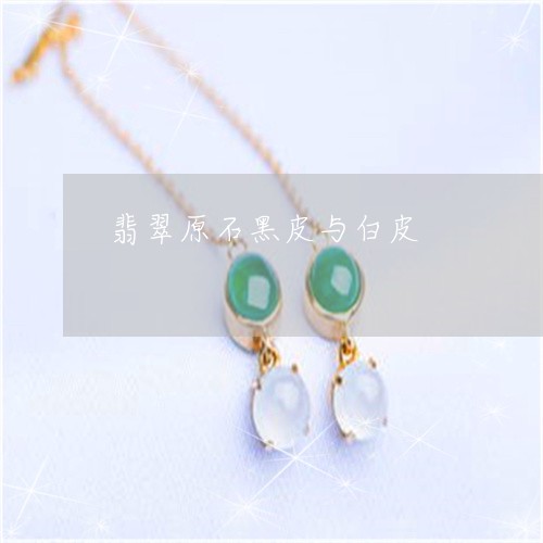 翡翠原石黑皮与白皮/2023041079483 翡翠原石黑皮与白皮/2023041079483