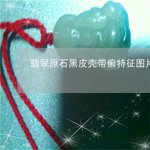 翡翠原石黑皮壳带癣特征图片/2023071246560
