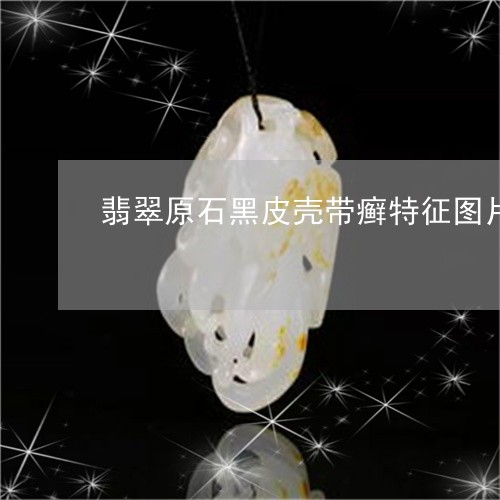 翡翠原石黑皮壳带癣特征图片/2023071269450
