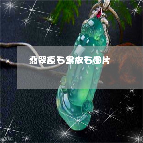 翡翠原石黑皮石图片/2023041039514