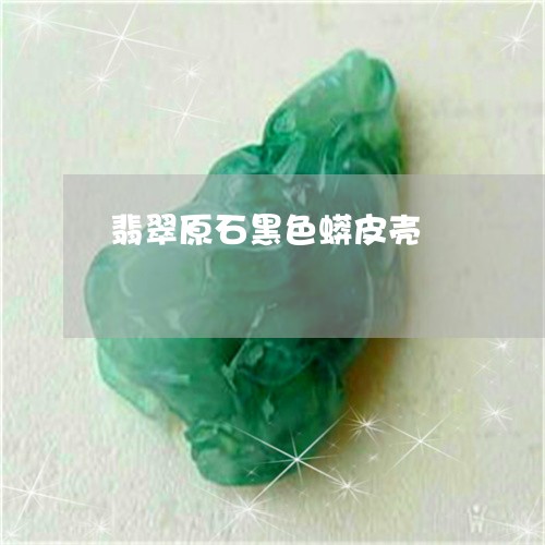 翡翠原石黑色蟒皮壳/2023041092615 翡翠原石黑色蟒皮壳/2023041092615