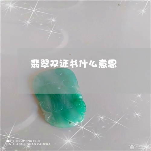 翡翠双证书什么意思/2023041008372 翡翠双证书什么意思/2023041008372