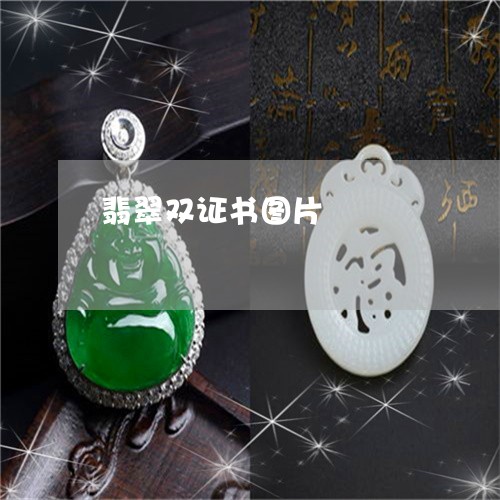 翡翠双证书图片/2023032628140