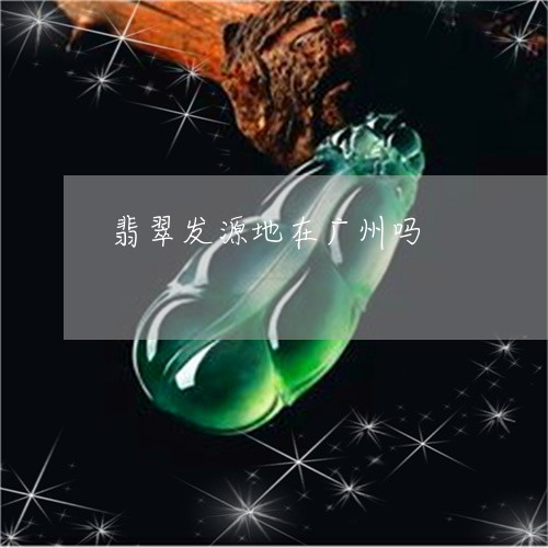 翡翠发源地在广州吗/2023041050472