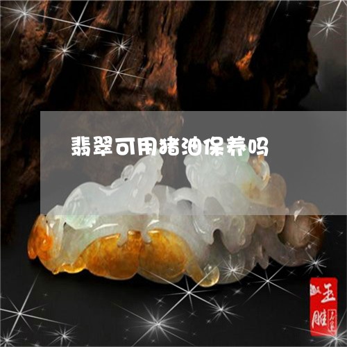 翡翠可用猪油保养吗/2023041051595