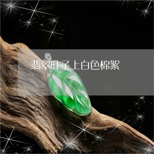 翡翠叶子上白色棉絮/2023041004935 翡翠叶子上白色棉絮/2023041004935