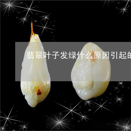 翡翠叶子发绿什么原因引起的/2023071282592