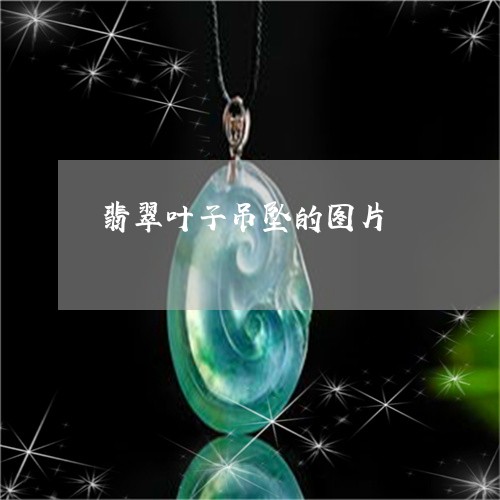 翡翠叶子吊坠的图片/2023041091695 翡翠叶子吊坠的图片/2023041091695