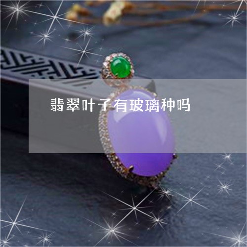 翡翠叶子有玻璃种吗/2023041003805 翡翠叶子有玻璃种吗/2023041003805