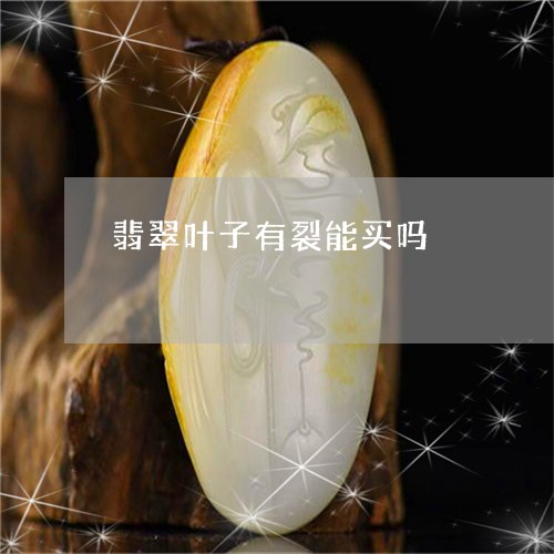 翡翠叶子有裂能买吗/2023041047052 翡翠叶子有裂能买吗/2023041047052