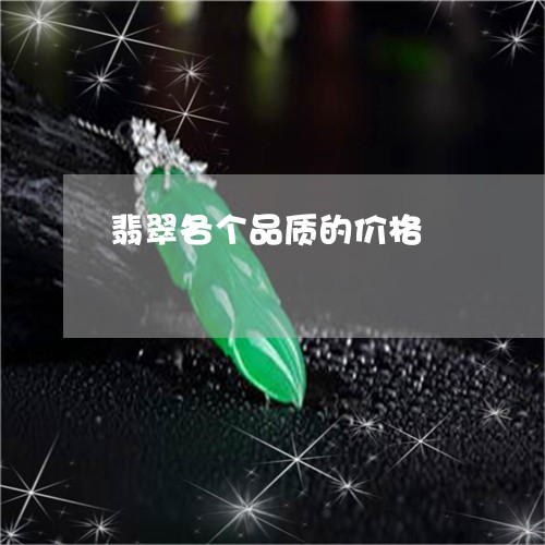 翡翠各个品质的价格/2023041027169 翡翠各个品质的价格/2023041027169