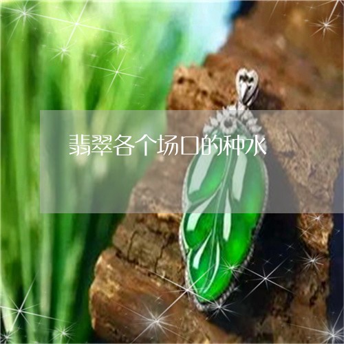 翡翠各个场口的种水/2023041082617 翡翠各个场口的种水/2023041082617